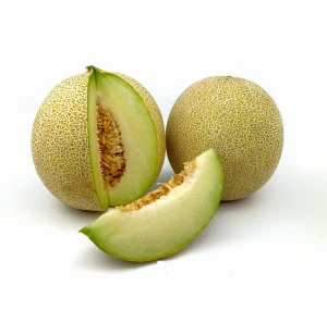 Melon Galia