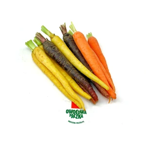 Mini marchewki kolorowe 200g