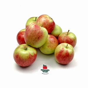 Jabłka wczesne Piros (cena za 1 kg)